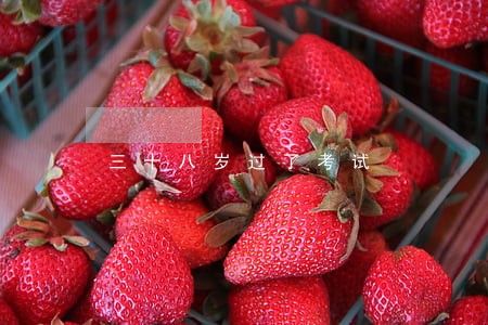 三十八岁过了考试 三十八岁过了考试
