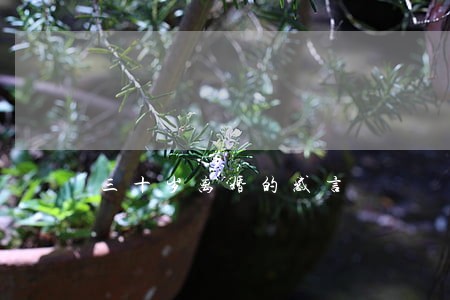 三十岁离婚的感言