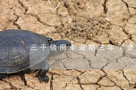 三千信用卡逾期三年了会怎么样