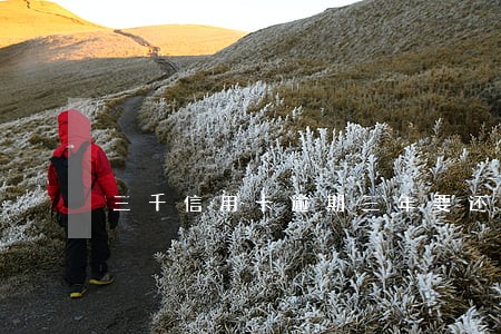 三千信用卡逾期三年要还多少钱