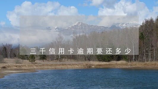 三千信用卡逾期要还多少