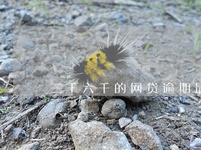 三千六千的网贷逾期最后怎么处理 三千六千的网贷逾期最后怎么处理
