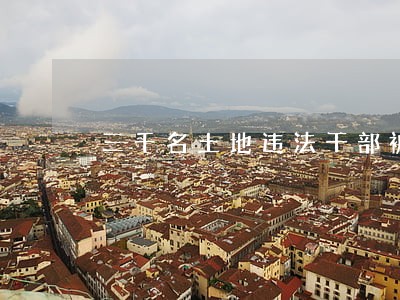 三千名土地违法干部被查处 三千名土地违法干部被查处