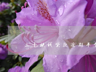 三千块钱贷款逾期半个月 三千块钱贷款逾期半个月