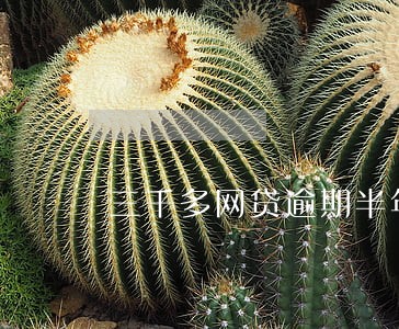 三千多网贷逾期半年会怎么样 三千多网贷逾期半年会怎么样