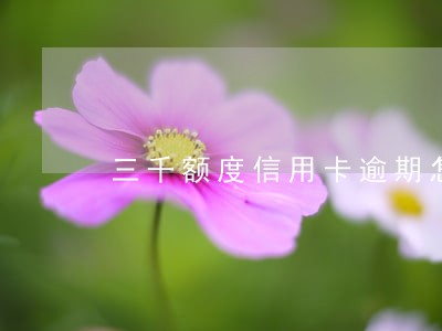 三千额度信用卡逾期怎么办 三千额度信用卡逾期怎么办