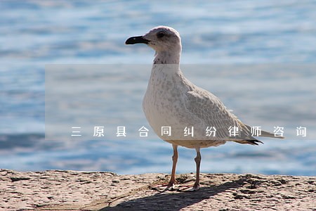 三原县合同纠纷律师咨询电话 三原县合同纠纷律师咨询电话