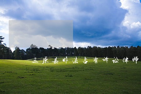 三原县非法占有诉讼律师 三原县非法占有诉讼律师