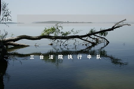 三台法院执行中队 三台法院执行中队