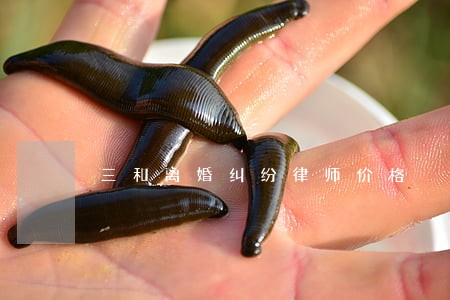 三和离婚纠纷律师价格 三和离婚纠纷律师价格