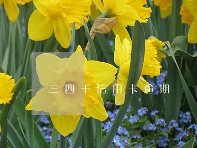 三四千信用卡逾期