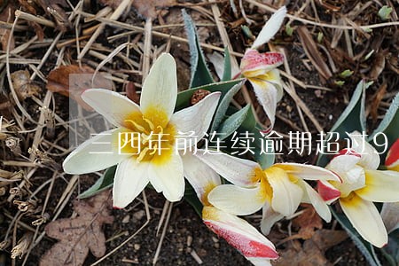 三四年前连续逾期超过90天 三四年前连续逾期超过90天