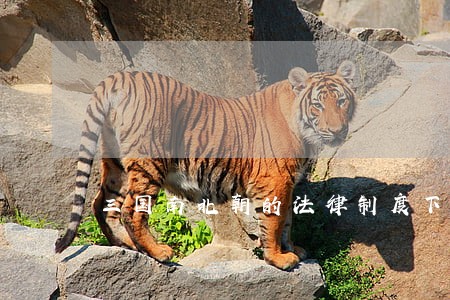 三国南北朝的法律制度下载