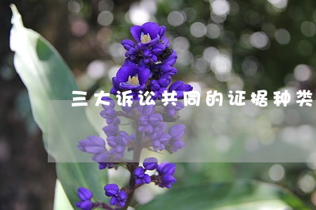 三大诉讼共同的证据种类