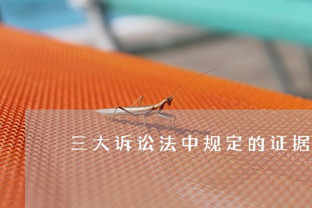 三大诉讼法中规定的证据种类