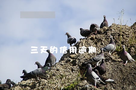 三天的信用逾期