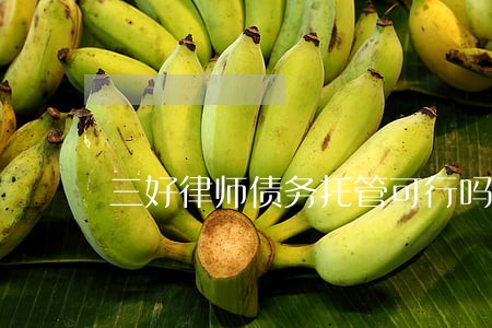 三好律师债务托管可行吗 三好律师债务托管可行吗