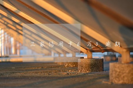 三家信用卡6万3逾期 三家信用卡6万3逾期