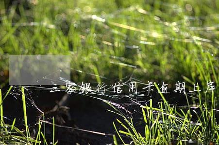 三家银行信用卡逾期上岸