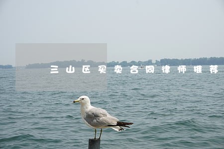 三山区买卖合同律师推荐