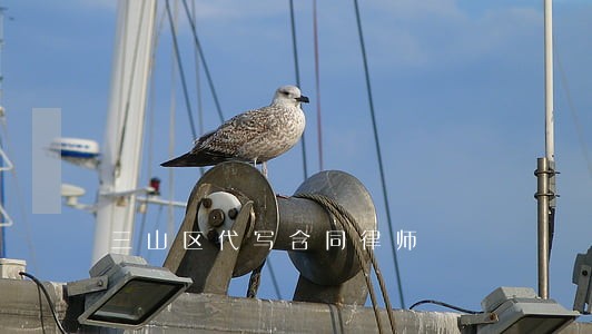 三山区代写合同律师 三山区代写合同律师