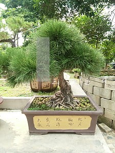 三山区司法局 三山区司法局