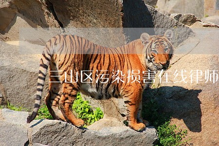 三山区污染损害在线律师 三山区污染损害在线律师