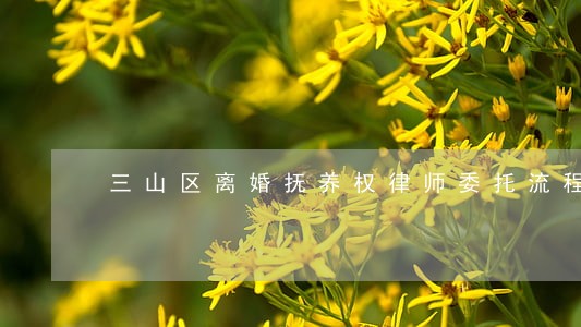 三山区离婚抚养权律师委托流程 三山区离婚抚养权律师委托流程