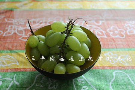 三年内无违法执业行为记录