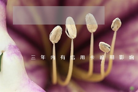 三年内有信用卡逾期影响贷款吗 三年内有信用卡逾期影响贷款吗