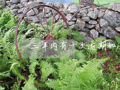 三年内有十次逾期都没超过1个月 三年内有十次逾期都没超过1个月