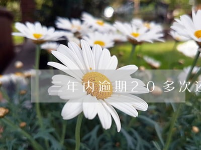 三年内逾期20多次还能做抵押吗 三年内逾期20多次还能做抵押吗