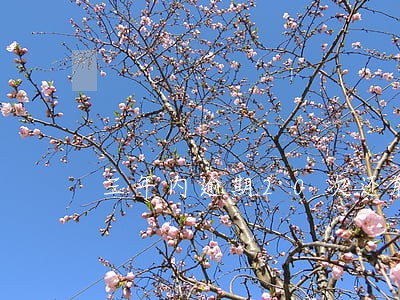 三年内逾期20次还能抵押吗 三年内逾期20次还能抵押吗