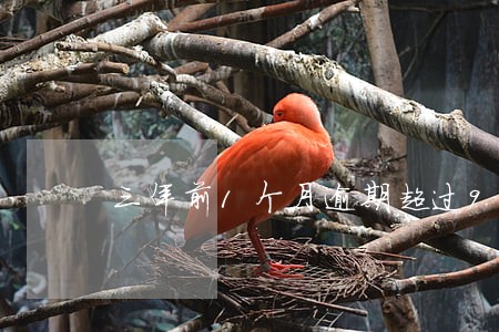 三年前1个月逾期超过90天 三年前1个月逾期超过90天