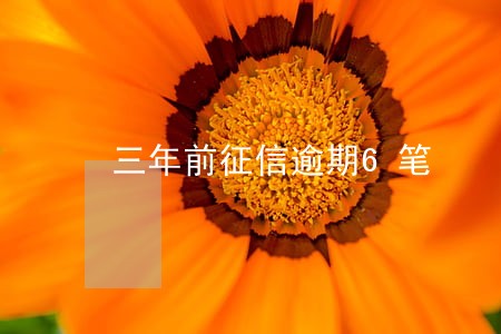 三年前征信逾期6笔 三年前征信逾期6笔