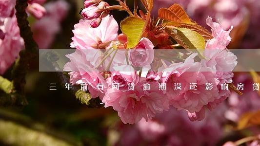三年前有网贷逾期没还影响房贷吗 三年前有网贷逾期没还影响房贷吗