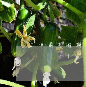 三年前有逾期记录能办信用卡吗