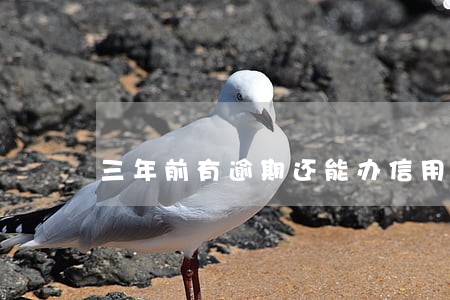 三年前有逾期还能办信用卡吗