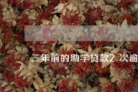 三年前的助学贷款2次逾期 三年前的助学贷款2次逾期