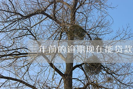 三年前的逾期现在能贷款 三年前的逾期现在能贷款