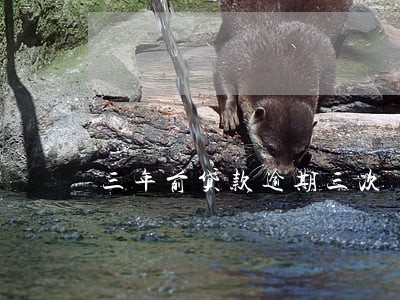 三年前贷款逾期三次 三年前贷款逾期三次