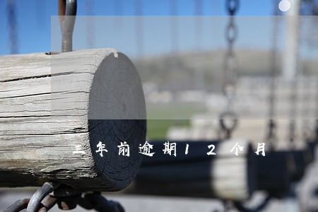 三年前逾期12个月 三年前逾期12个月