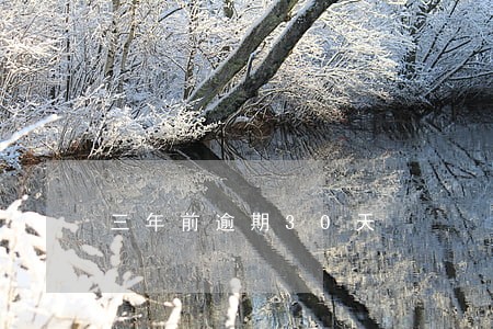 三年前逾期30天