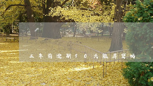 三年前逾期90天能房贷吗 三年前逾期90天能房贷吗