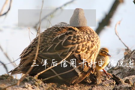 三年后信用卡打电话说逾期未还 三年后信用卡打电话说逾期未还