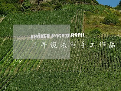 三年级法制手工作品