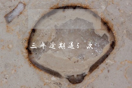 三年逾期过5次 三年逾期过5次