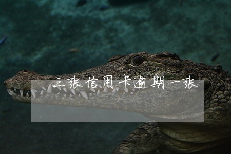 三张信用卡逾期一张