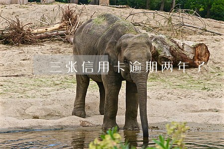 三张信用卡逾期两年了 三张信用卡逾期两年了