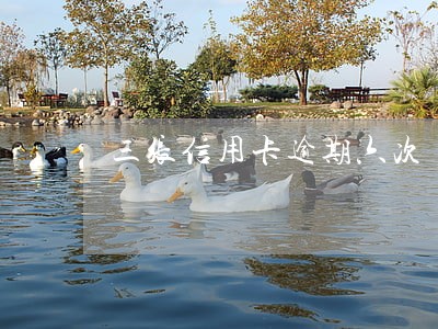 三张信用卡逾期六次 三张信用卡逾期六次